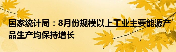 国家统计局:8月份规模以上工业主要能源产品生产均保持增长