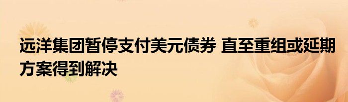 远洋集团暂停支付美元债券 直至重组或延期方案得到解决
