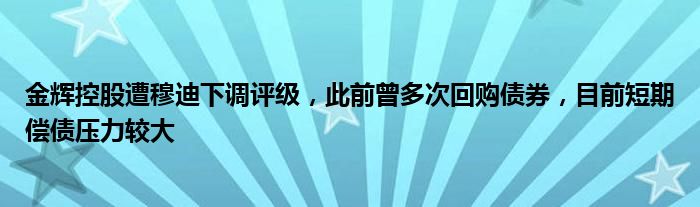 金辉控股遭穆迪下调评级,此前曾多次回购债券,目前短期偿债压力较大