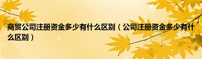商贸公司注册资金多少有什么区别(公司注册资金多少有什么区别)
