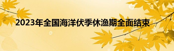 2023年全国海洋伏季休渔期全面结束