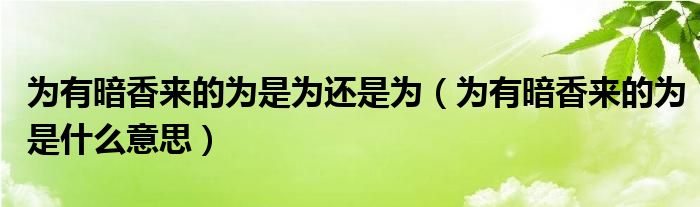 为有暗香来的为是为还是为（为有暗香来的为是什么意思）