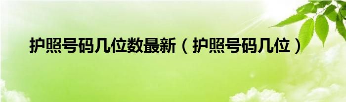 护照号码几位数最新（护照号码几位）