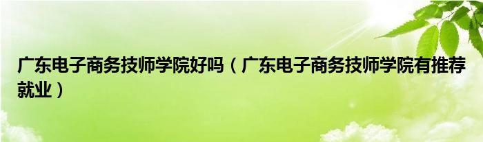 广东电子商务技师学院好吗（广东电子商务技师学院有推荐就业）