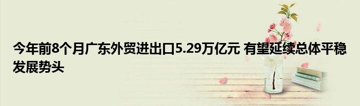 今年前8个月广东外贸进出口5.29万亿元 有望延续总体平稳发展势头