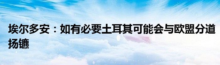 埃尔多安:如有必要土耳其可能会与欧盟分道扬镳