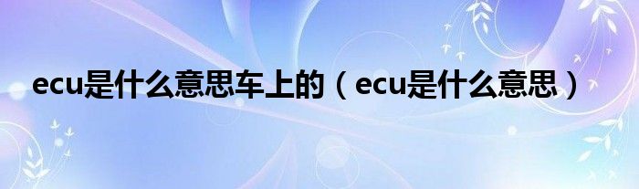 ecu是什么意思车上的（ecu是什么意思）