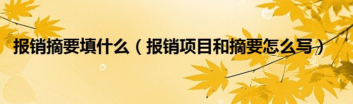 报销摘要填什么(报销项目和摘要怎么写)