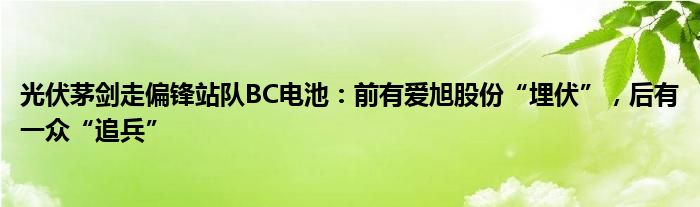 光伏茅剑走偏锋站队BC电池:前有爱旭股份“埋伏”,后有一众“追兵”