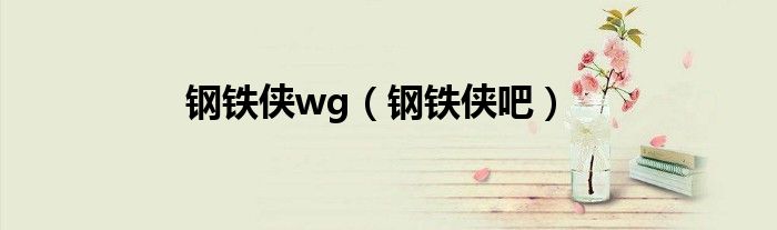 钢铁侠wg(钢铁侠吧)