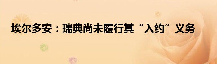埃尔多安:瑞典尚未履行其“入约”义务