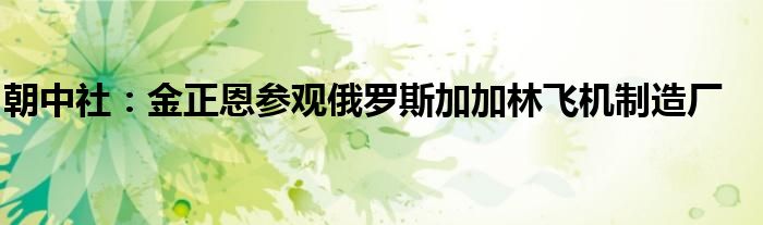 朝中社:金正恩参观俄罗斯加加林飞机制造厂