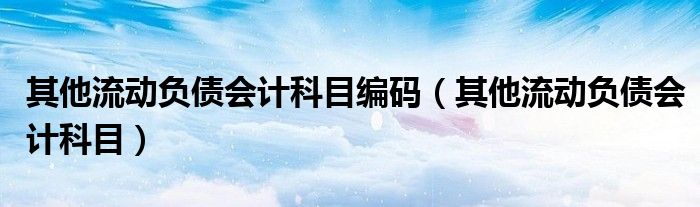 其他流动负债会计科目编码（其他流动负债会计科目）