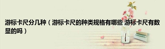 游标卡尺分几种(游标卡尺的种类规格有哪些 游标卡尺有数显的吗)
