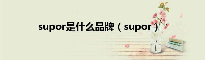 supor是什么品牌(supor)