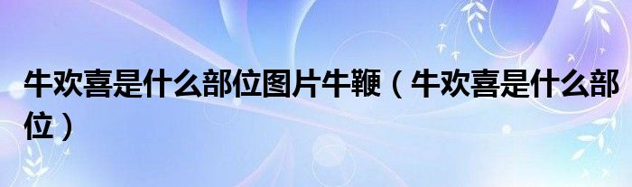 牛欢喜是什么部位图片牛鞭（牛欢喜是什么部位）