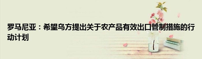 罗马尼亚:希望乌方提出关于农产品有效出口管制措施的行动计划