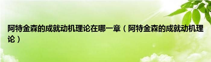 阿特金森的成就动机理论在哪一章（阿特金森的成就动机理论）