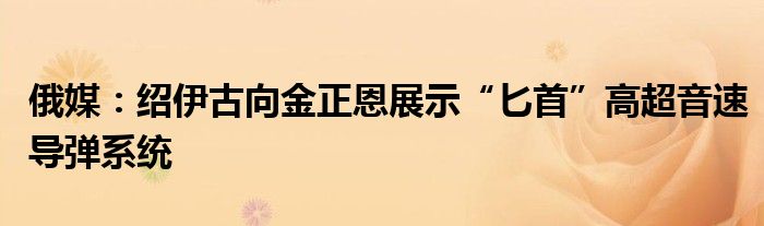俄媒:绍伊古向金正恩展示“匕首”高超音速导弹系统