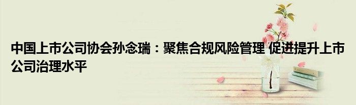 中国上市公司协会孙念瑞:聚焦合规风险管理 促进提升上市公司治理水平