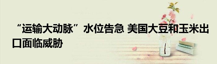 “运输大动脉”水位告急 美国大豆和玉米出口面临威胁
