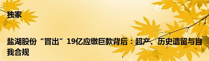 独家|盐湖股份“冒出”19亿应缴巨款背后:超产、历史遗留与自我合规