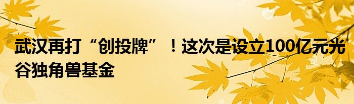 武汉再打“创投牌”!这次是设立100亿元光谷独角兽基金