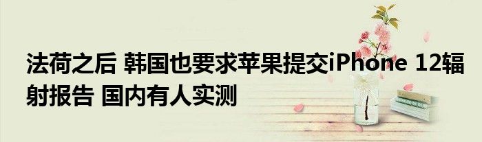 法荷之后 韩国也要求苹果提交iPhone 12辐射报告 国内有人实测