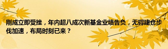 刚成立即受挫，年内超八成次新基金业绩告负，无碍建仓步伐加速，布局时刻已来？