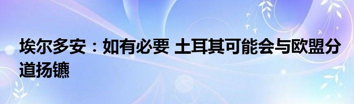 埃尔多安:如有必要 土耳其可能会与欧盟分道扬镳