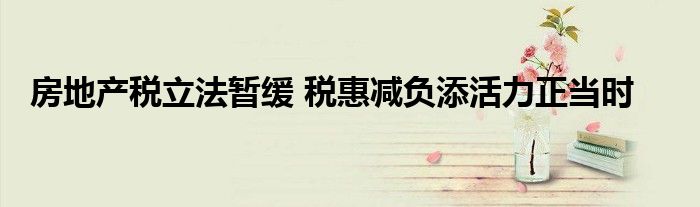 房地产税立法暂缓 税惠减负添活力正当时