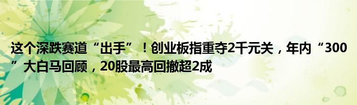 这个深跌赛道“出手”!创业板指重夺2千元关,年内“300”大白马回顾,20股最高回撤超2成