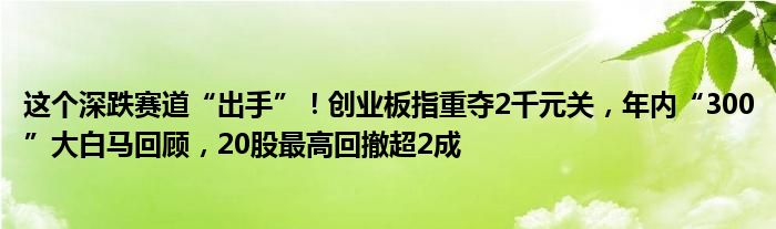 这个深跌赛道“出手”!创业板指重夺2千元关,年内“300”大白马回顾,20股最高回撤超2成