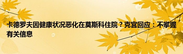 卡德罗夫因健康状况恶化在莫斯科住院?克宫回应:不掌握有关信息