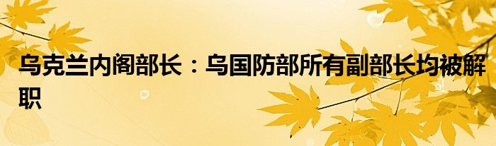 乌克兰内阁部长:乌国防部所有副部长均被解职