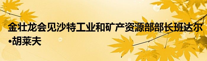 金壮龙会见沙特工业和矿产资源部部长班达尔·胡莱夫
