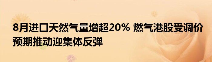 8月进口天然气量增超20% 燃气港股受调价预期推动迎集体反弹