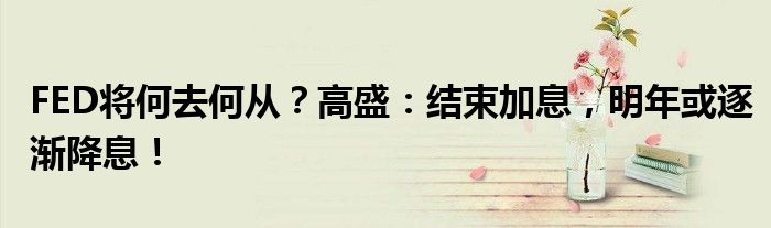 FED将何去何从?高盛:结束加息,明年或逐渐降息!