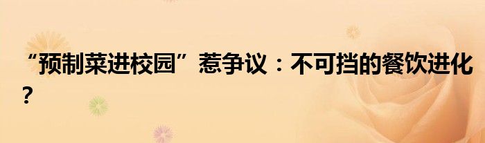 “预制菜进校园”惹争议:不可挡的餐饮进化?