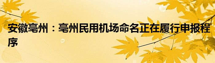 安徽亳州:亳州民用机场命名正在履行申报程序