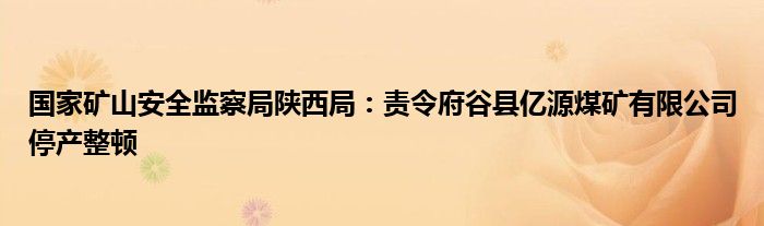 国家矿山安全监察局陕西局:责令府谷县亿源煤矿有限公司停产整顿