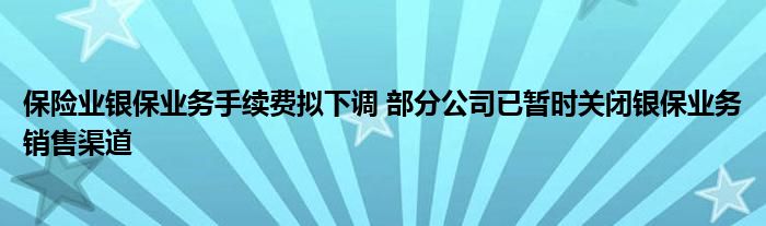 保险业银保业务手续费拟下调 部分公司已暂时关闭银保业务销售渠道