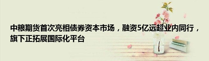中粮期货首次亮相债券资本市场,融资5亿远超业内同行,旗下正拓展国际化平台