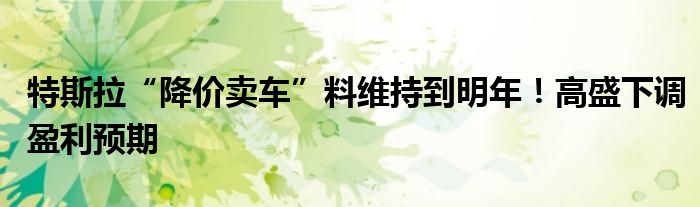 特斯拉“降价卖车”料维持到明年!高盛下调盈利预期