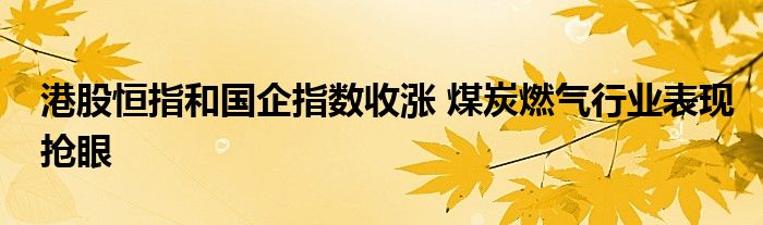港股恒指和国企指数收涨 煤炭燃气行业表现抢眼