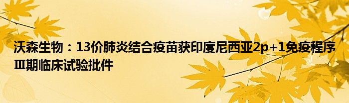 沃森生物:13价肺炎结合疫苗获印度尼西亚2p+1免疫程序Ⅲ期临床试验批件