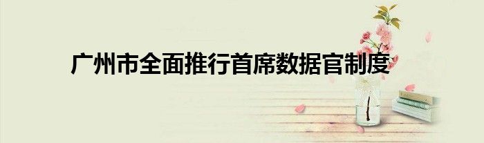 广州市全面推行首席数据官制度