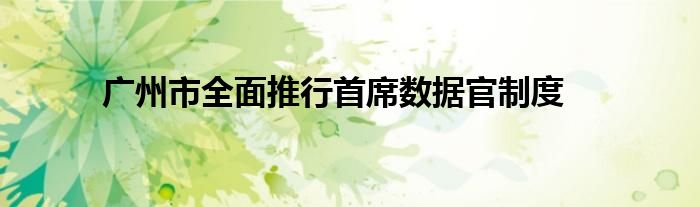 广州市全面推行首席数据官制度