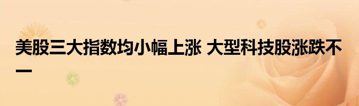 美股三大指数均小幅上涨 大型科技股涨跌不一