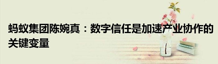蚂蚁集团陈婉真:数字信任是加速产业协作的关键变量